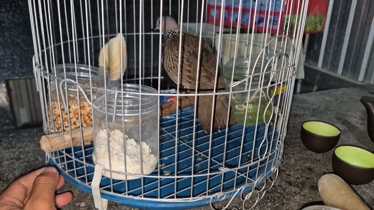 Đam Mê Thì Sẽ Thấy Vui Chứ Không Cực Lắm