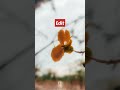Wait for the Result 🥰#short #mobilephotography #photography#tricks