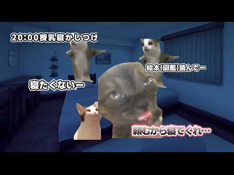 【#猫ミーム】年子３兄弟のワンオペルーティン【#子守うた】#shorts #vtuber #育児 #子育て #ワンオペ育児 #ワンオペ #猫 #バズれ #年子育児 #猫マニ #ワンオペ育児 #年子