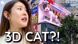 Giant 3D Cat Billboard in Shinjuku, Tokyo 🐈 Why did they build it?!