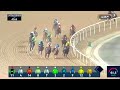 Race #7 – 06.03.26 – Next Mile By Emaar Conditions Stakes – Honest Desert