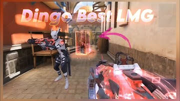 Codm Dingo Legendary Kill Effect 😍- With All Seasonal Camo | Season 1 CODM 👍