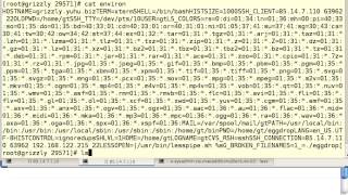 LSA - Linux Security Model - part I
