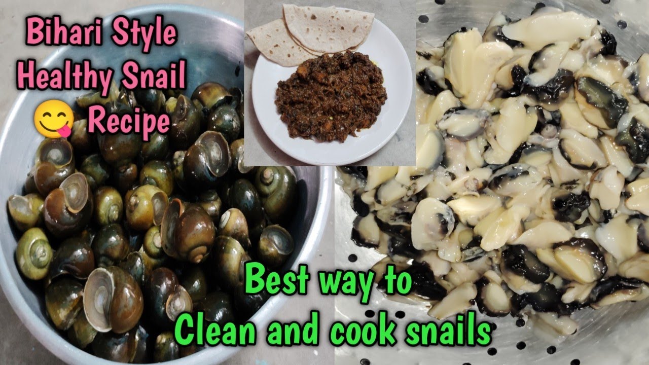 घोंघा बनाने का सबसे सही और आसान तरीका# 