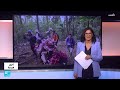 الأرق.. هل بات مرض العصر؟ • فرانس 24 / FRANCE 24