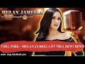 TOEL TOEL - MULAN JAMEELA FT TIKA DEWI DEWI Karaoke