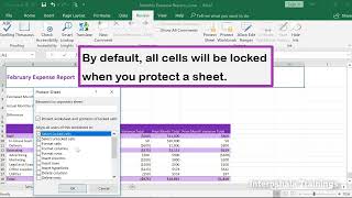 Excel_Sheet Protection #ExcelTips #Excel #Tutorial #ExcelForBeginners #ExcelShorts #DataProtection