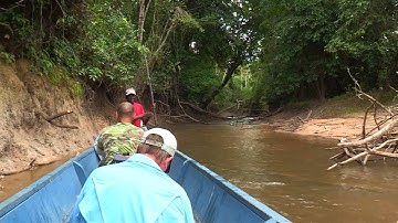 Real Adventure Kabalebo GIANTS PART 2