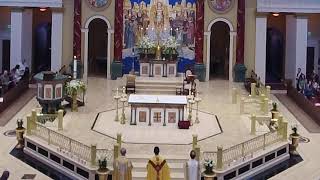 9:00 am Sunday Mass Live Stream