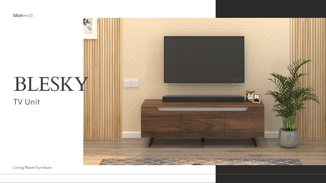 Bluewud Blesky TV Unit Assembly Guide | Step-by-Step Instructions | DIY