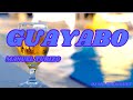 GUAYABO Manuel Turizo Lyrics mp3