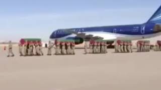 122131638 2152672158211167 7377294697433937407 n