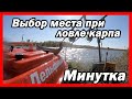 Выбор места при ловле карпа на Минутке. Как Лёха ворует рыбу!