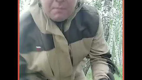 Как отличить ядовитый гриб от не ядовитого