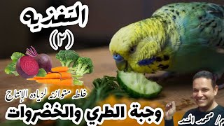 افضل وجبه متكامله لطيور الزينه | مكونات وطريقه تجهيز وجبه الطري والخضروات مع م / محمد المشد