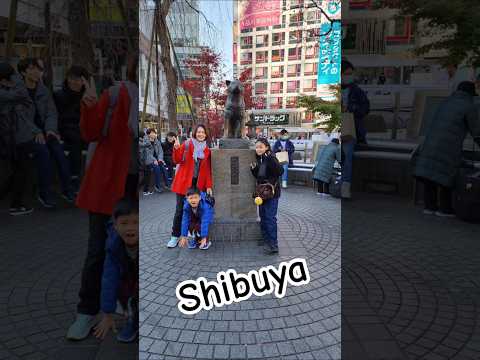 โรงแรมถูกและดีที่โตเกียว #shibuya #mosburger