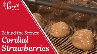 Behind the Scenes: Cordial Strawberries