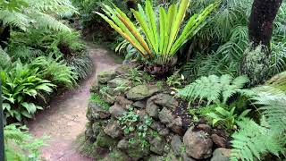 Rippon Lea Fernery 260620
