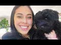 24 Hours w/ Me & My 3 Month Old PUPPY!
