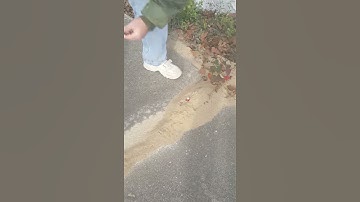 Ant pile + Fireworks = Destruction 2