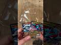salamance end resirham ex box #pokemoncards #pokemon #brewek