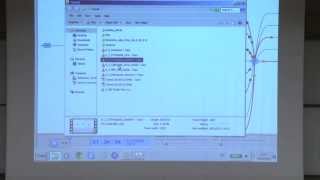 On Measuring, Modeling and Analyzing Healthcare Systems in Real-Time - Avishai Mandelbaum Technion