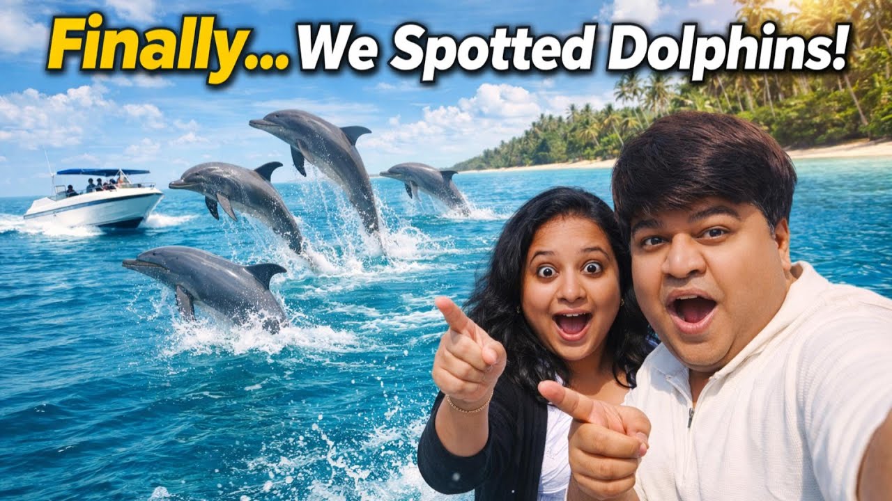 Finally… We Spotted Dolphins 🐬 | Tarkarli Beach Maharashtra | Dolphin Safari
