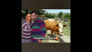 nurdi arkanda #lyrics#mizah#shorts#woman#nurdisina#keşfet#tuğkan#music#love#rap#kesfeeett#slow