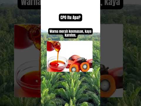 CPO Itu Apa?