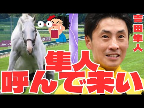 【競馬ネタ系】ゴールドシップ「おい！隼人呼んで来い！」吉田隼人騎手が騎乗停止に！ゴルシ様に呼び出されてしまう・・に対する競馬ファンの反応集。