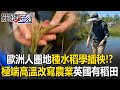 氣候變遷對農業的影響