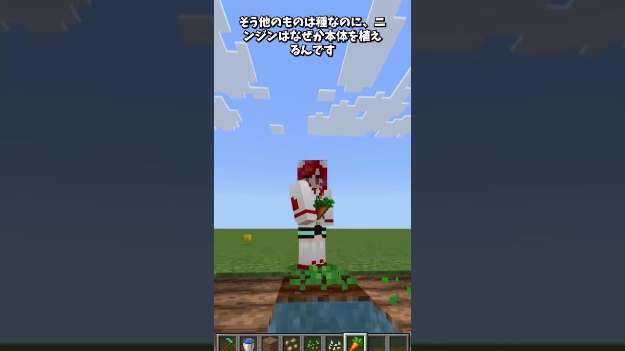 ニンジンの秘密 #shorts #マインクラフト #minecraft