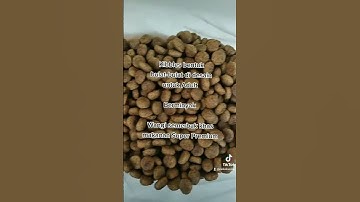 Fast Review Kibbles Super Premium Cat Food AlpenBerger Beautiful Adult | Radio Kucing #Shorts