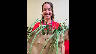 Food Farmacy at Rust Medical Center