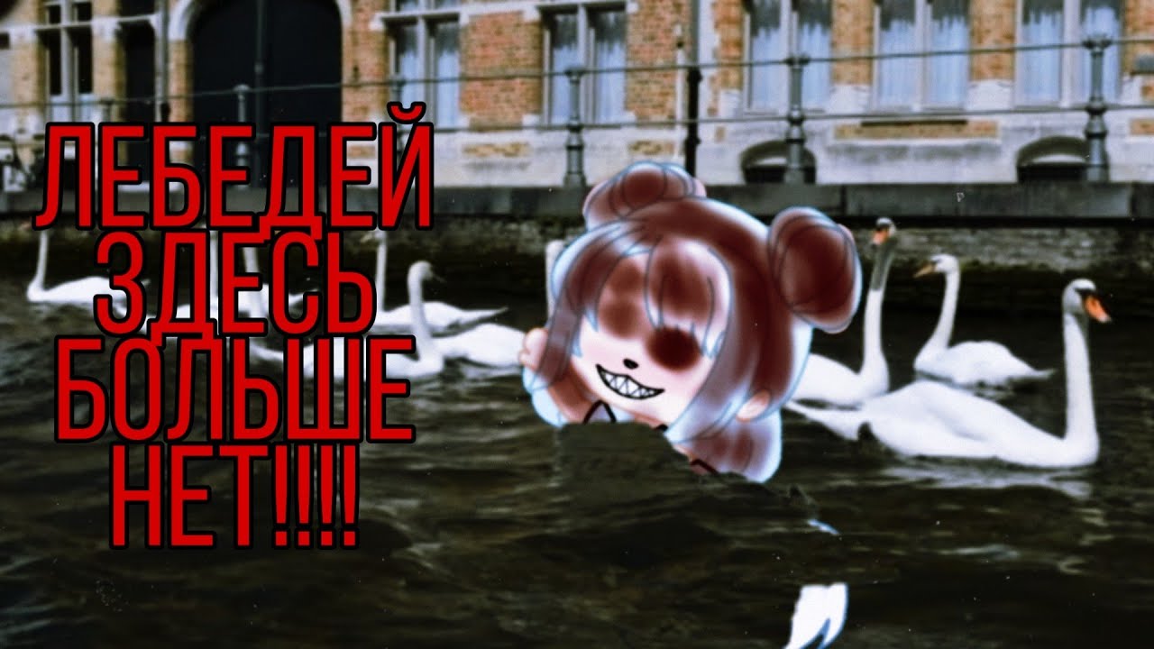 ~•Страшилка на ночь ЛЕБЕДЕЙ ЗДЕСЬ БОЛЬШЕ НЕТ!!!!!