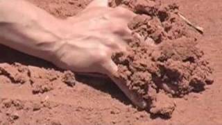 Elements - Movement in the Desert