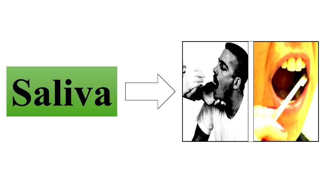 DNA Reference Samples as Source of Biological Evidence in Human