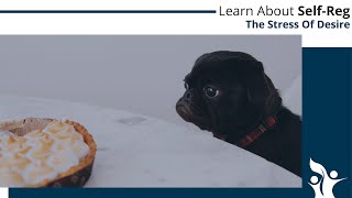 The Stress of Desire | Dr. Stuart Shanker and Susan Hopkins of The MEHRIT Centre