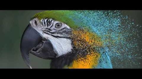 Particle World Slideshow - After Effects Template