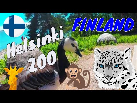 Video: Apa Yang Mesti Dilawati Di Finland: Helsinki Zoo
