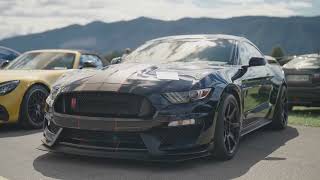 Ford Mustang Collector’s Guide: Every Generation Explained Ford Mustang Collector’s Guide: Every Generation Explained
