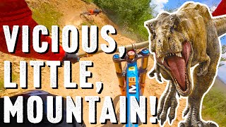 Vicious Little Mountain - Cheese-It & Tron trails - Granby Ranch Bike Park
