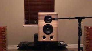 Pretty Persuasions Active MiniDSP demo
