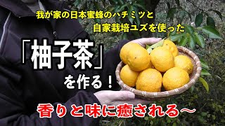 【贅沢ゆず茶】自家栽培ゆず×日本ミツバチ蜂蜜をたっぷり使用｜自家飼育だからできる本物のゆず茶作り｜　#柚子茶 #ゆず茶　#日本ミツバチ #蜂蜜