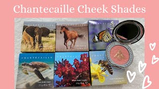 Chantecaille Cheek Shades screenshot 5