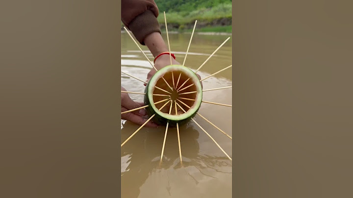Bushcraft Skills: New Watermelon Skills in Forest #survival #camping #useful