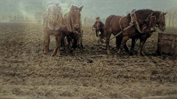 Zandberg Graauw Paal van Weleer