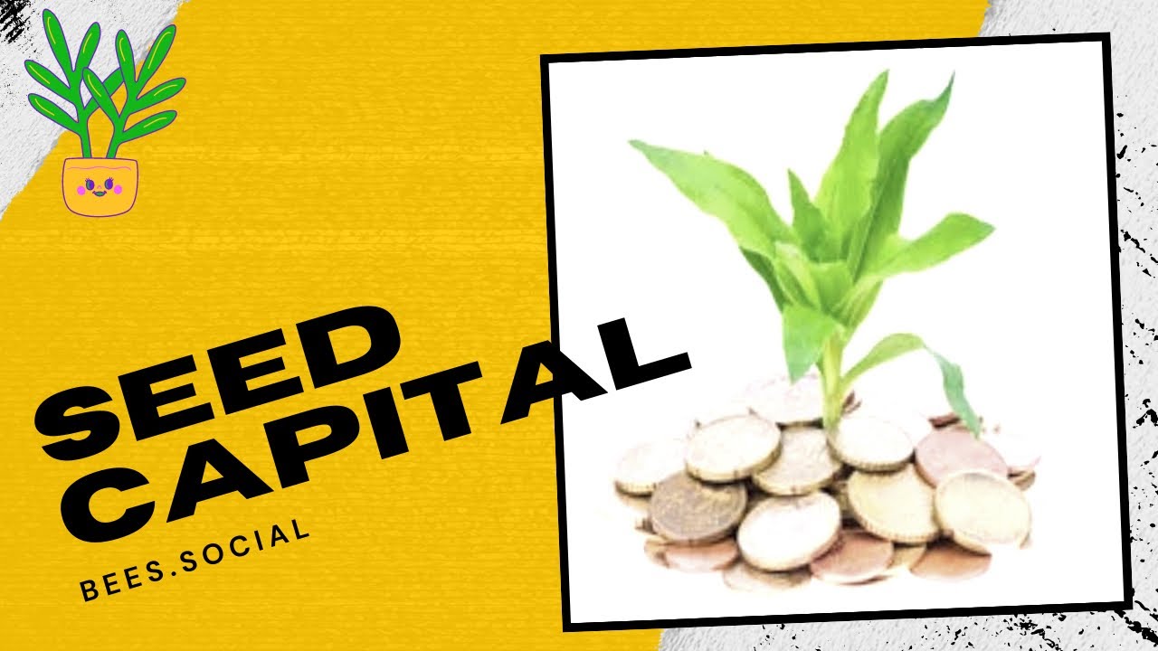 Uncle Vigilante Interviews Ray & Henry Re: Bees.Social (M2)