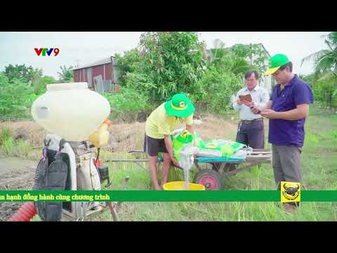Canh Tác Thông Minh | Bí Quyết Từ Bỏ Đốt Rơm Rạ Để Tăng Lợi Nhuận Lúa 🌾