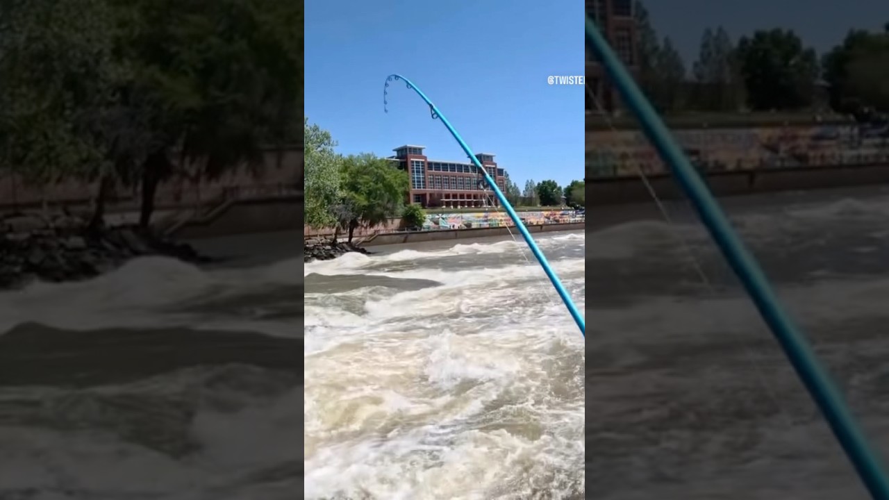 What’s hiding in the rapids? 